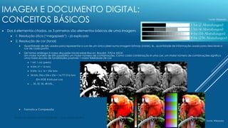 IMAGEM E DOCUMENTO DIGITAL:
CONCEITOS BÁSICOS
 Dos 6 elementos citados, os 3 primeiros são elementos básicos de uma image...